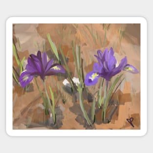 Two Blooming Iris Sticker